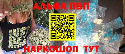 стаф Новодвинск