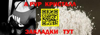 стаф Новодвинск