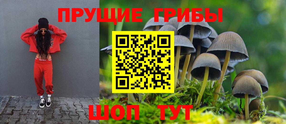 даркнет сайт  Вход с VPN  Сунжа  Псилоцибиновые грибы Psilocybine cubensis 