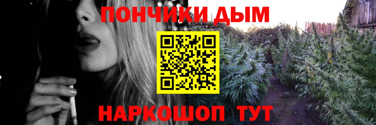 Конопля MAZAR  Конопля планчик  Сунжа  Вход с VPN 